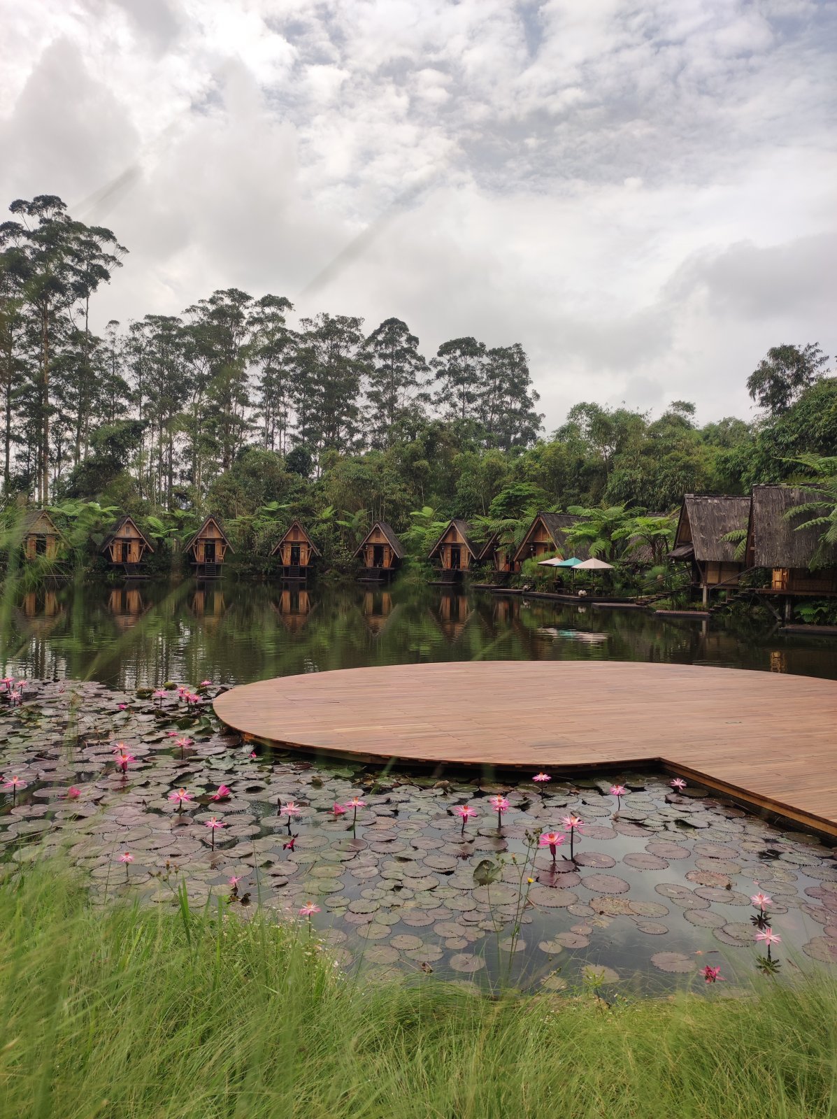 Saung Purbasari floating cottages and water lilies on Lake Kalpataru at Dusun Bambu