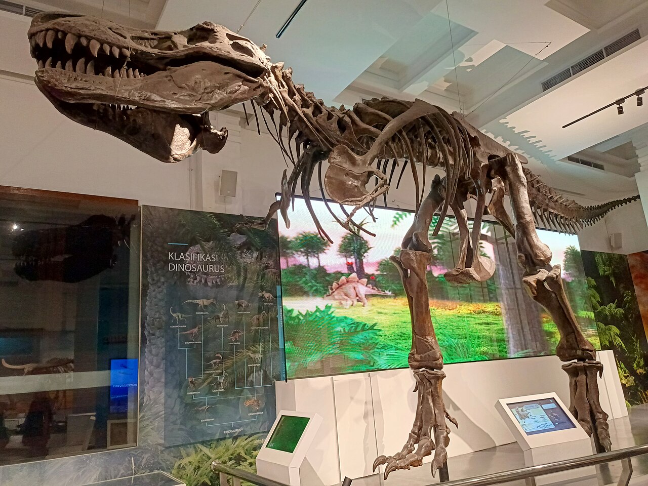 Towering Tyrannosaurus Rex skeleton in the History of Life gallery