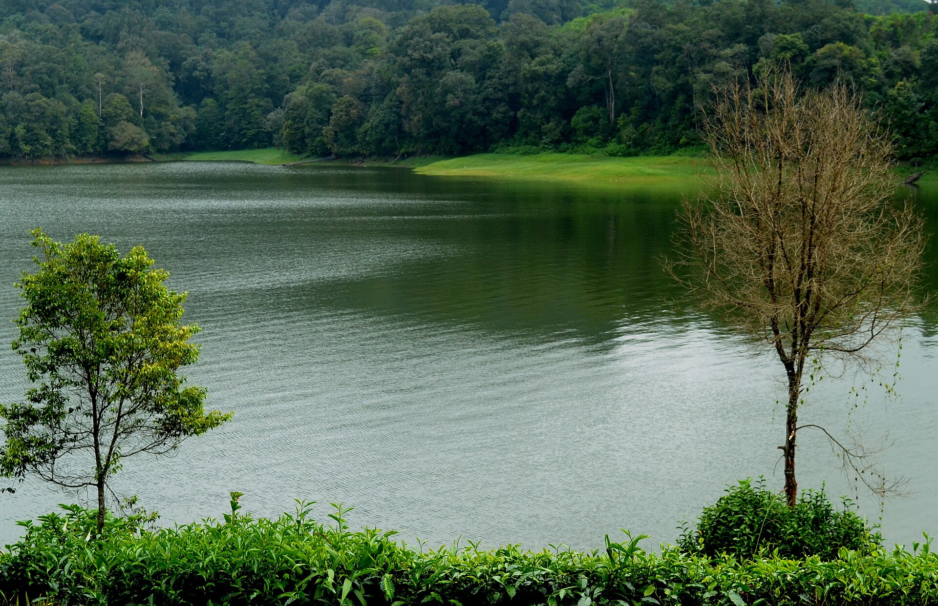 Scenic view across the calm blue waters of Situ Patenggang framed by tea plantation slopes and forested ridges