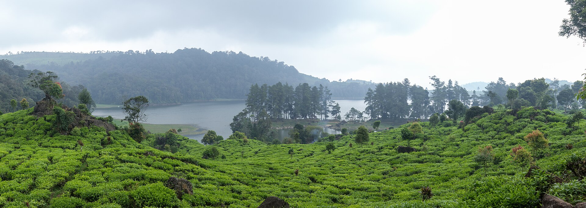 Panoramic vista of Situ Patenggang lake surrounded by lush green tea hills and cloud-draped mountain slopes in Ciwidey