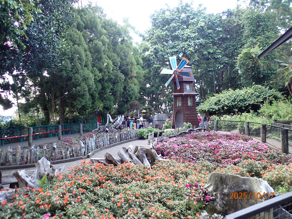 Dutch Windmill with colorful flowerbeds, manicured gardens, and traditional European styling at Farm House Susu Lembang