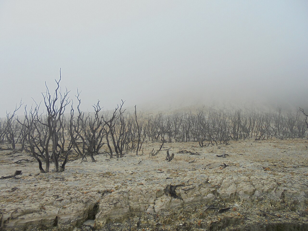 Misty hiking trails and volcanic mountain ridges of Mount Papandayan Garut