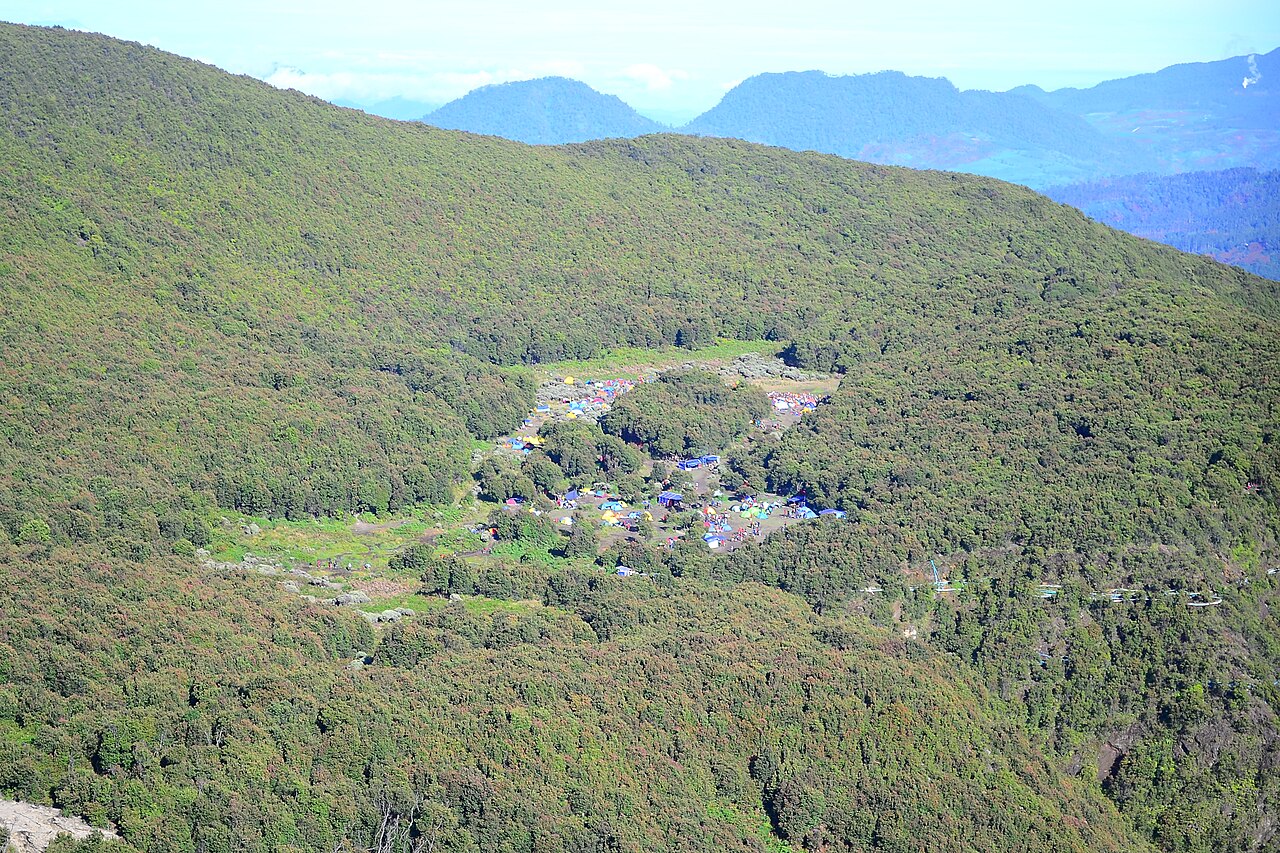 Expansive Pondok Saladah highland meadow and edelweiss fields on Mount Papandayan