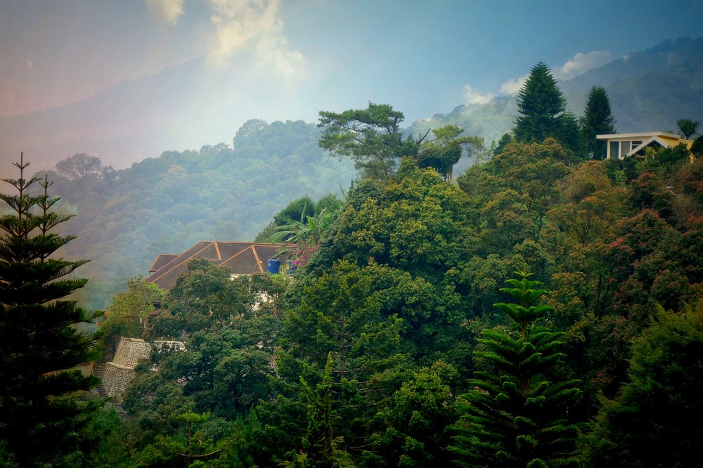 Puncak Pass Highland Lookout — Bogor – Cianjur Mountain Pass