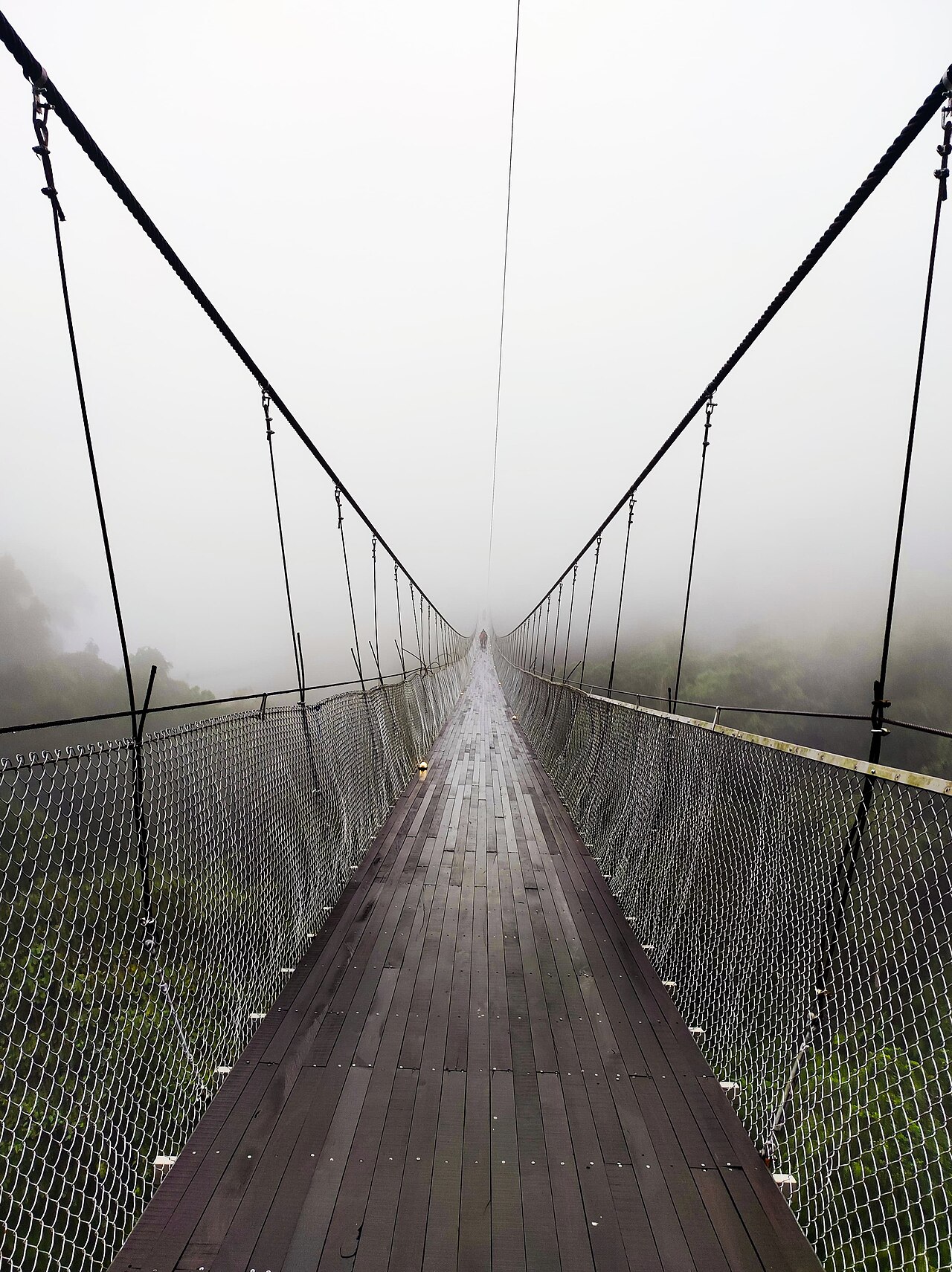 Fog floating over the 243-meter Situ Gunung suspension footbridge