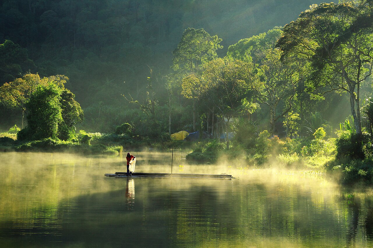 Tranquil mountain lake surrounded by pine forests at Situ Gunung National Park