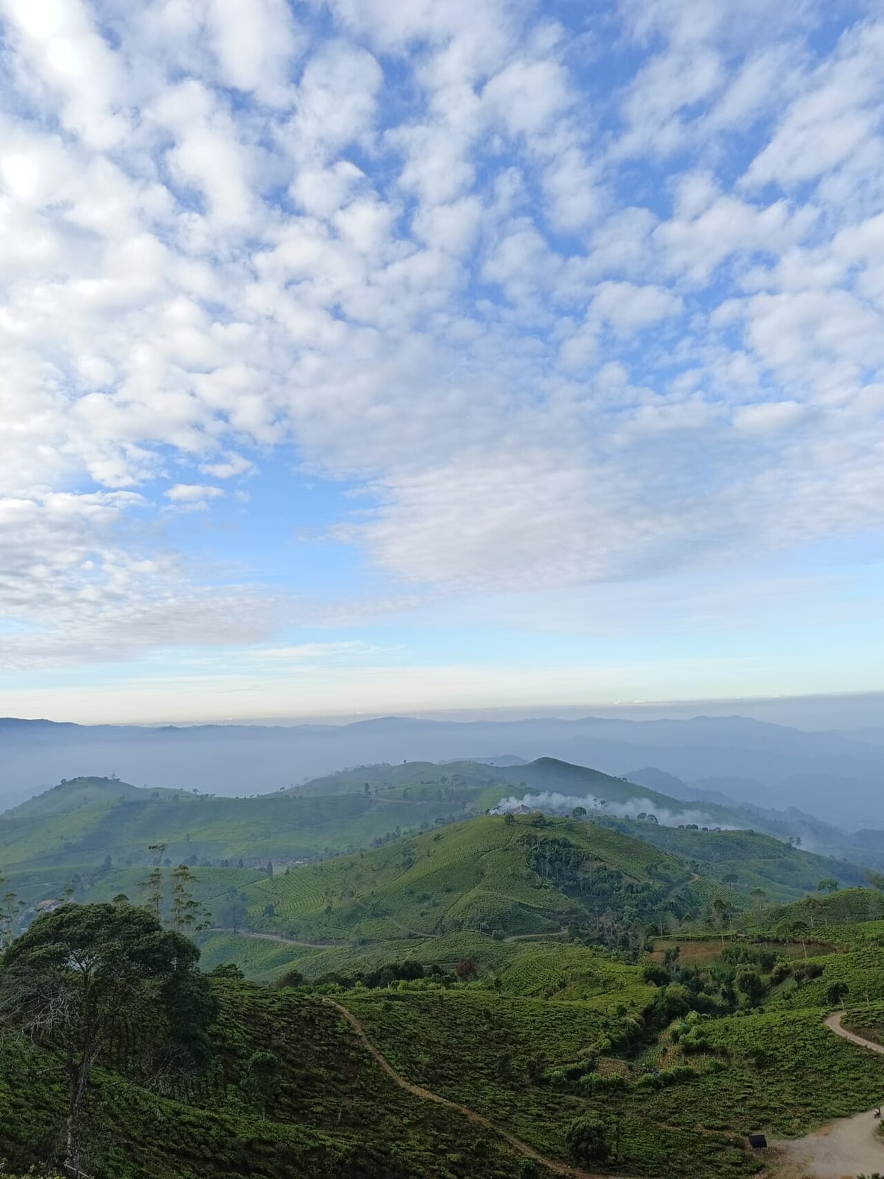 Misty tea valley ridges and dramatic alpine layers visible from the high trails of Pangalengan